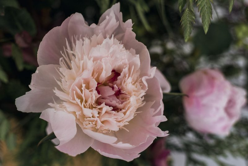 Centro esparto flores naturales Liken Estudio Floral